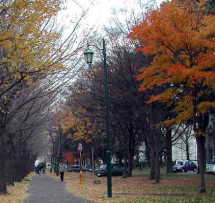 �ӏH�̖k�C����w�\��