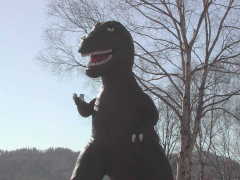 �q������Ԍj��΂̋����@�N�b�V�[�H