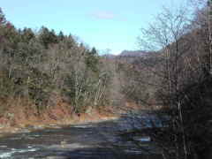 �O�i�̑ꂩ�痬��o�鈰�ʐ�