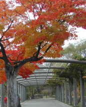 ���������@�ӏH