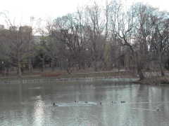 ���̐e�q�̍q��