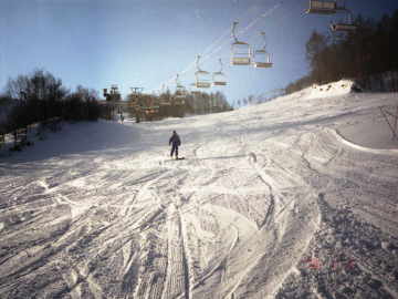 �L���Q�����f��Ɛ�