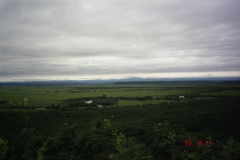 �׉��̌����䂩��̒���