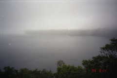 ���̖�����