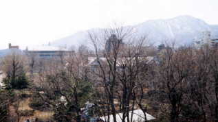 部屋から中島公園を望む 早春