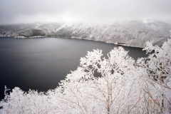 �����΂̎��X