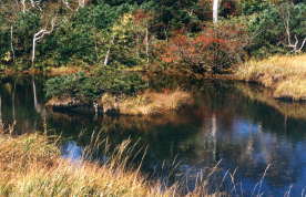 �_����ƒr��