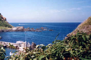 �ɂ����a�����琅���ق�]��