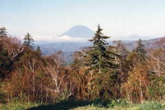 ���R�����r���R�X�T�D�P�O�D�P