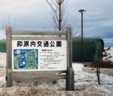 �p���ƂȂ������͌�ʌ�����