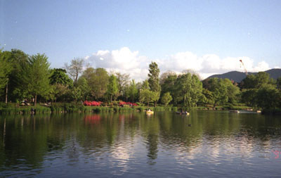 春がやってきた