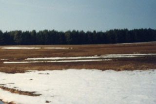 北の大地の雪解け