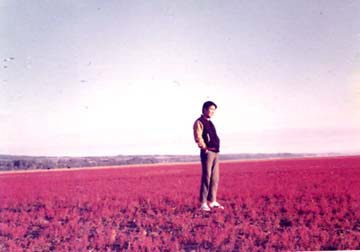 �X�葐�Ƃ킽��