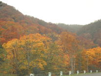 全山紅葉のなか、二股へ・・・