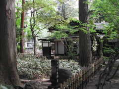小田野家の簡素な庭より