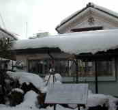 中庭にはこんなに雪が