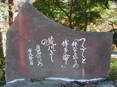 {򌫎蕶